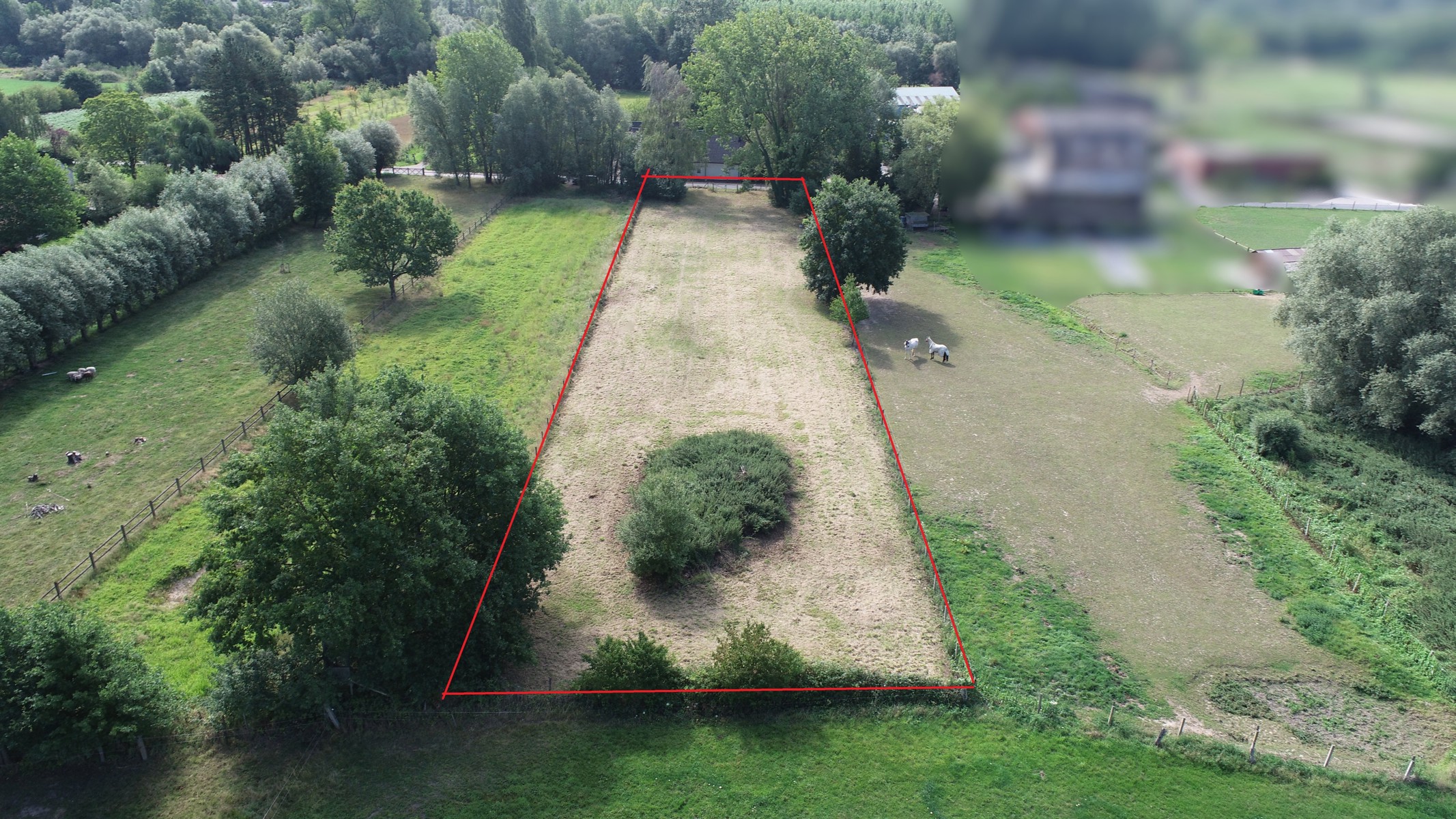 Vlot bereikbare omheinde weide - foto 3