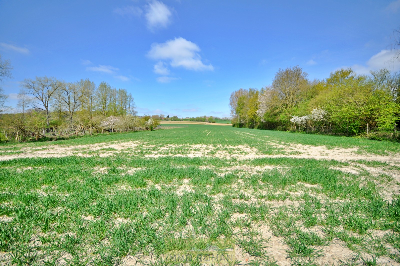 Grond geschikt voor open bebouwing te Ronse! - foto 5