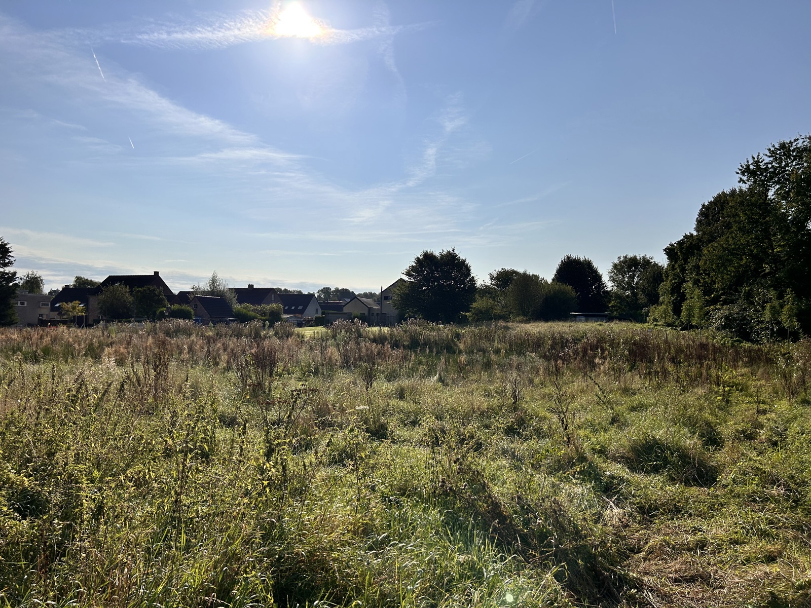 7 bouwgronden voor OB op toplocatie in Leefdaal - foto 2