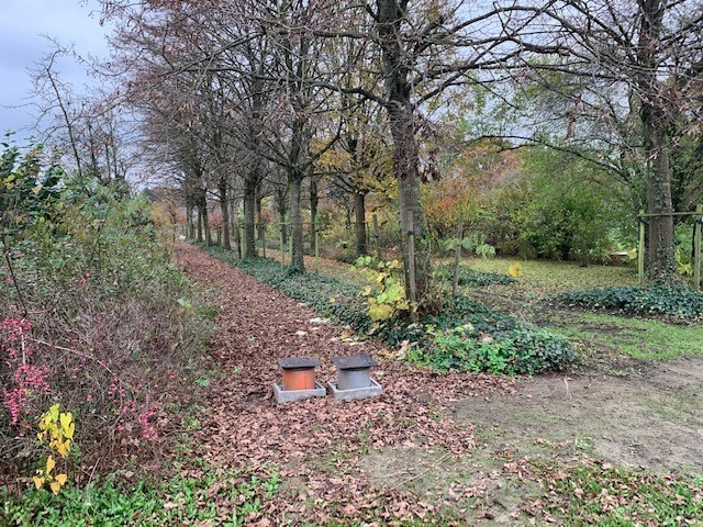 Bouwgrond van 1200m² in een oase van groen - foto 2