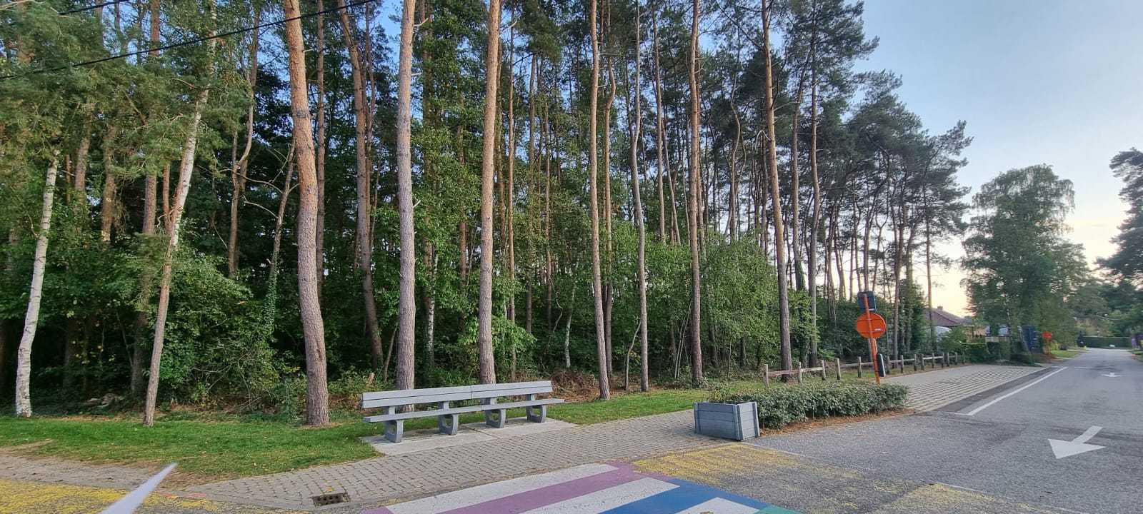 Land for sale in Balen - photo 2