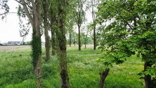 Bouwgrond voor een half open bebouwing op een perceel van 600m², gevelbreedte 7m.<br />Dit perceel wordt verkocht met bouwverplichting via de aannemer.<br />Bouwstijl naar keuze. <br />Er kan hier gebouwd worden aan<strong> 6 % BTW</strong> door sloop van de vorige hoeve.<br /><br />Bouwdiepte gelijkvloers 15m - op het verdiep is er een bouwdiepte van 12m.<br /><br />Grootste troef:
<ul><li>Bouwen aan 6 % BTW
<ul><li>Door de sloop van een oude hoeve kunnen we hier nu bouwen aan 6 % BTW</li></ul>
</li></ul>
<br />Dit perceel is gelegen op een toplocatie op een boogscheut van Waregem en centrum Beveren Leie.<br />En toch is het rustig gelegen.<br /><br />Op vandaag staat hier nog een oude hoeve, deze zal afgebroken worden door de aannemer. <br />Achterliggend ligt er nog een perceel van 3000 m² agrarisch die eventueel kan bijgekocht worden, op dit perceel staan grote prachtige bomen die het zicht in de tuin bevorderen.<br /><br />Heeft u interesse of vragen naar de bouwmogelijkheden, neem dan gerust contact op met ons kantoor.<br /><br />