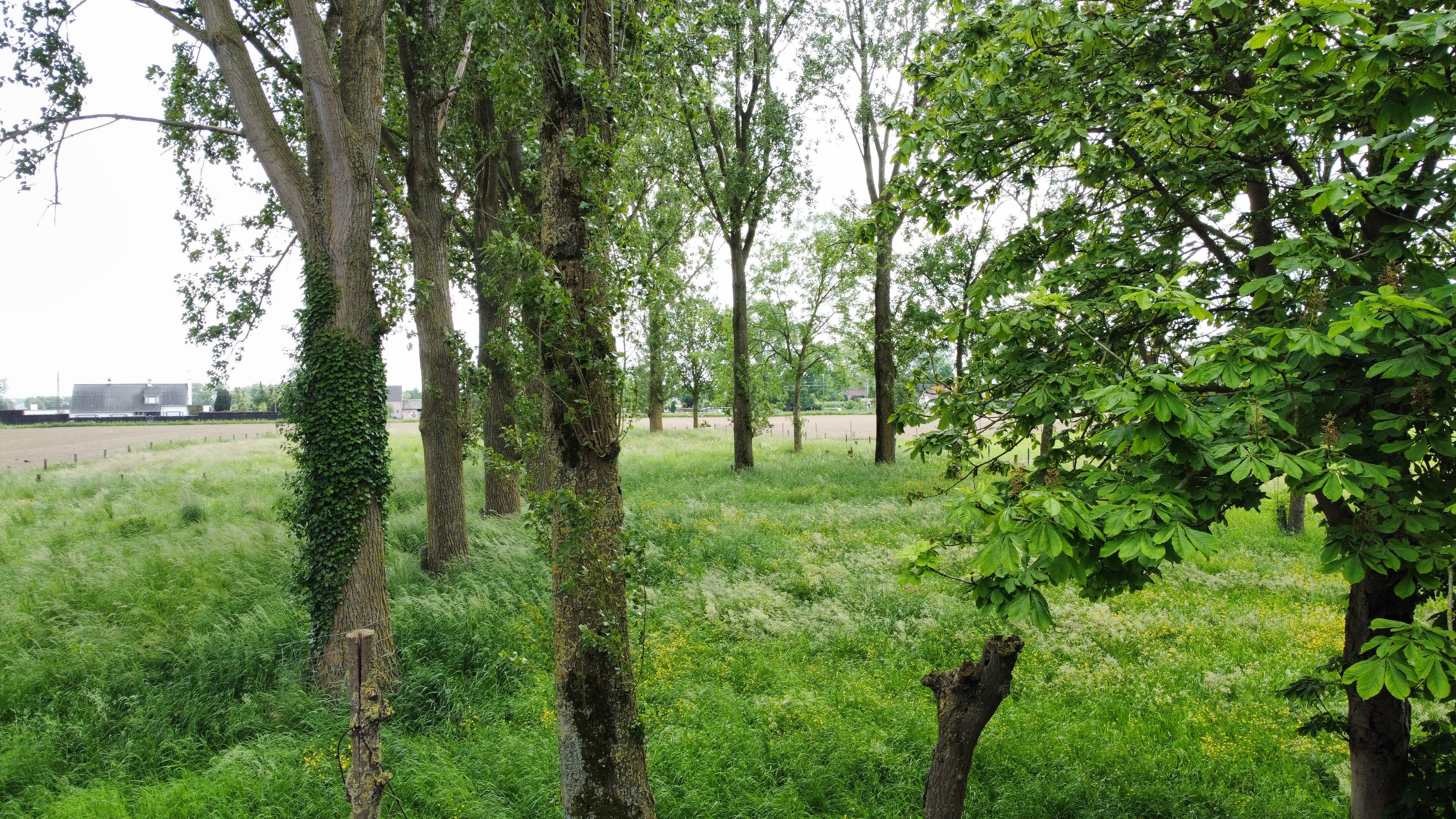 Bouwgrond (600 m²) 6% BTW in Beveren Leie - foto 3