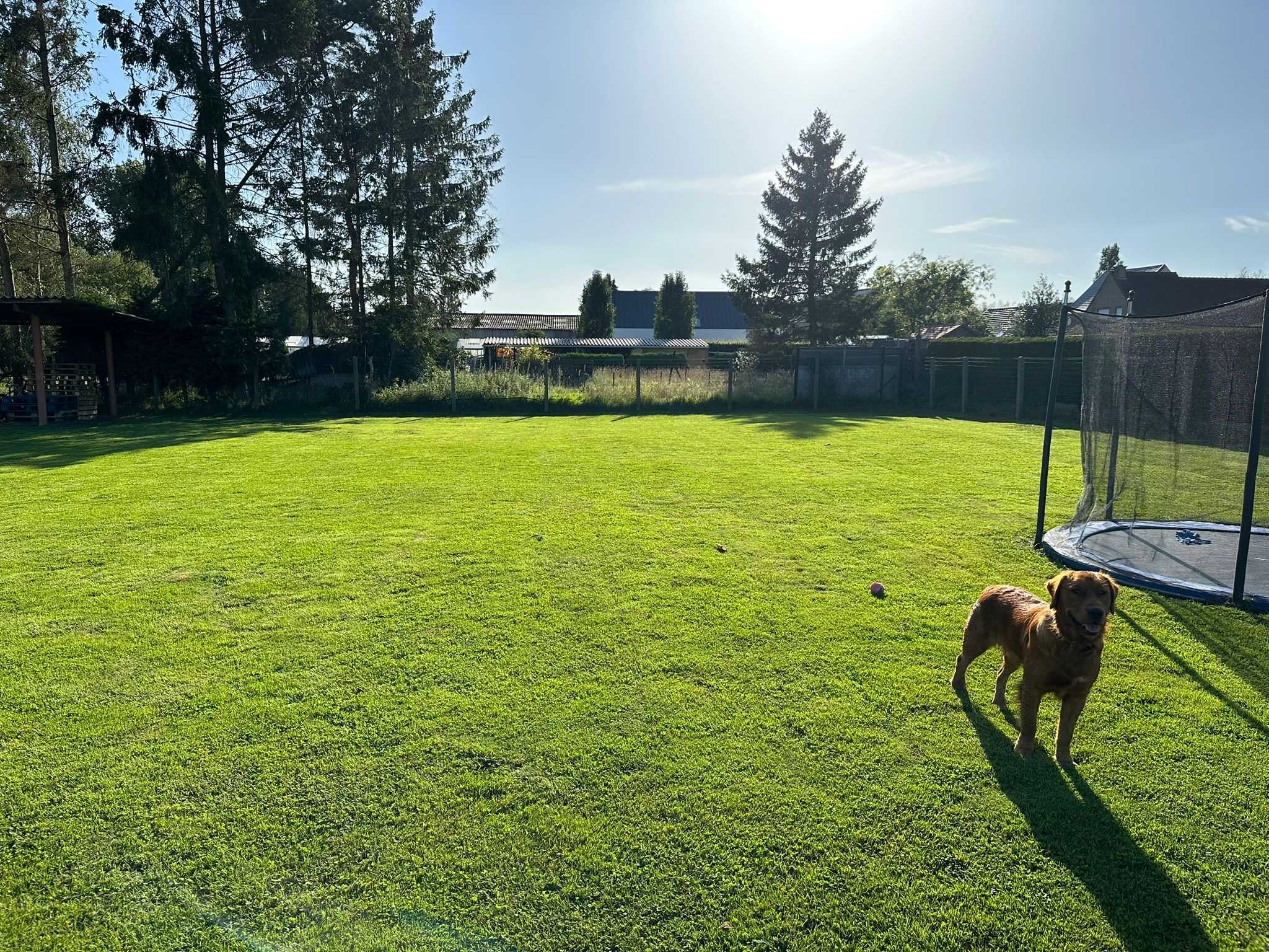 Maison à vendre à Nieuwenrode avec 4 chambres - photo 2