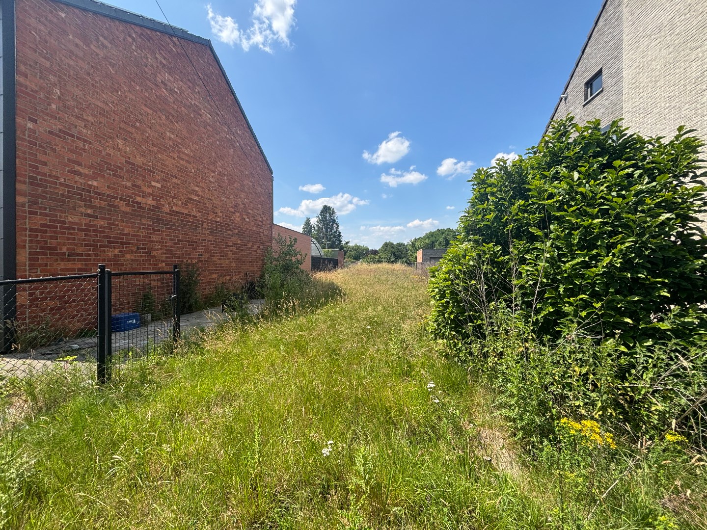 Bouwgrond van 6a 75ca voor halfopen bebouwing in Balen - foto 3