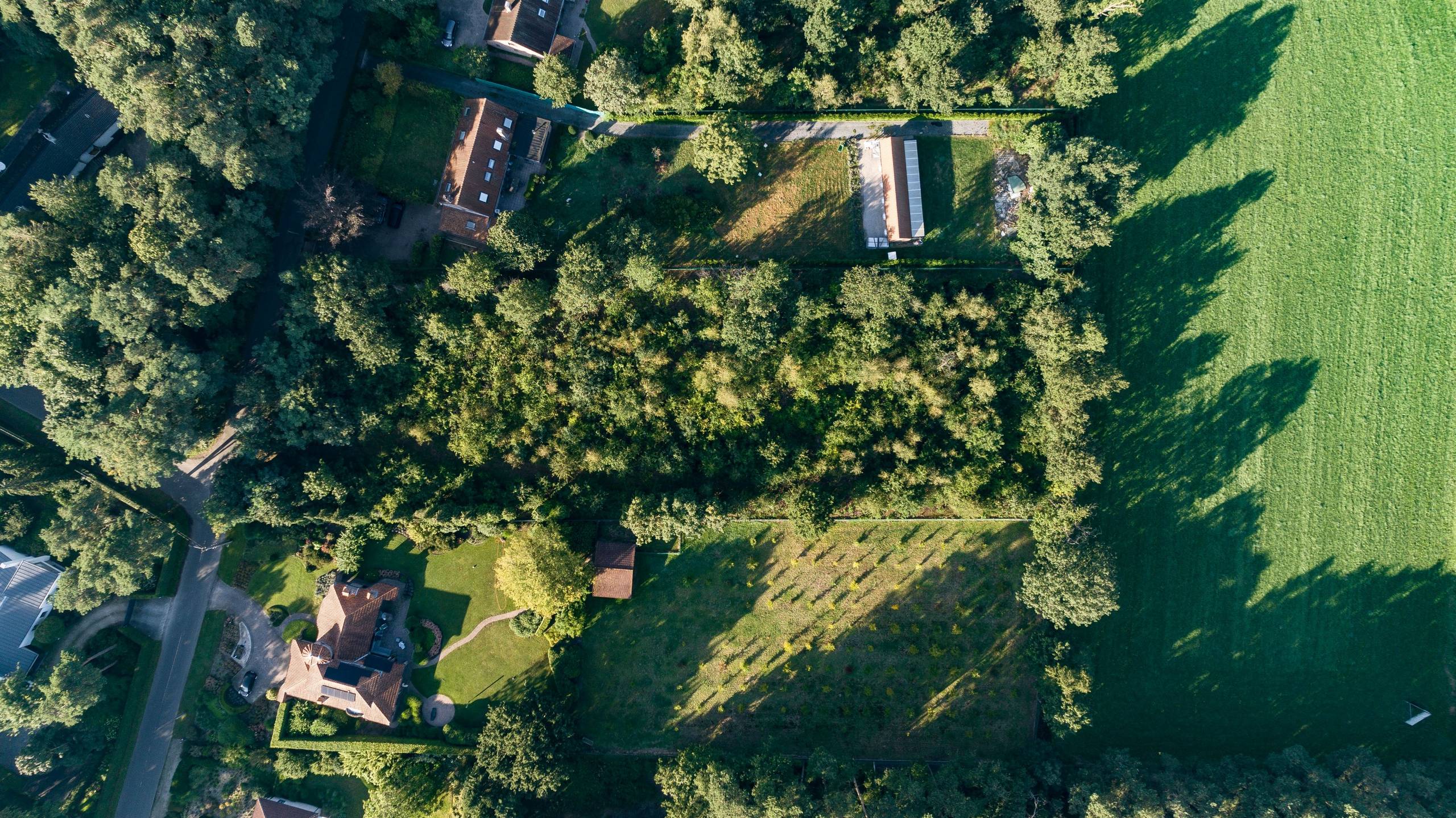 Mooie rustig gelegen bouwgrond 4.946m² met zeer ruime bouwmogelijkheden. - foto 2