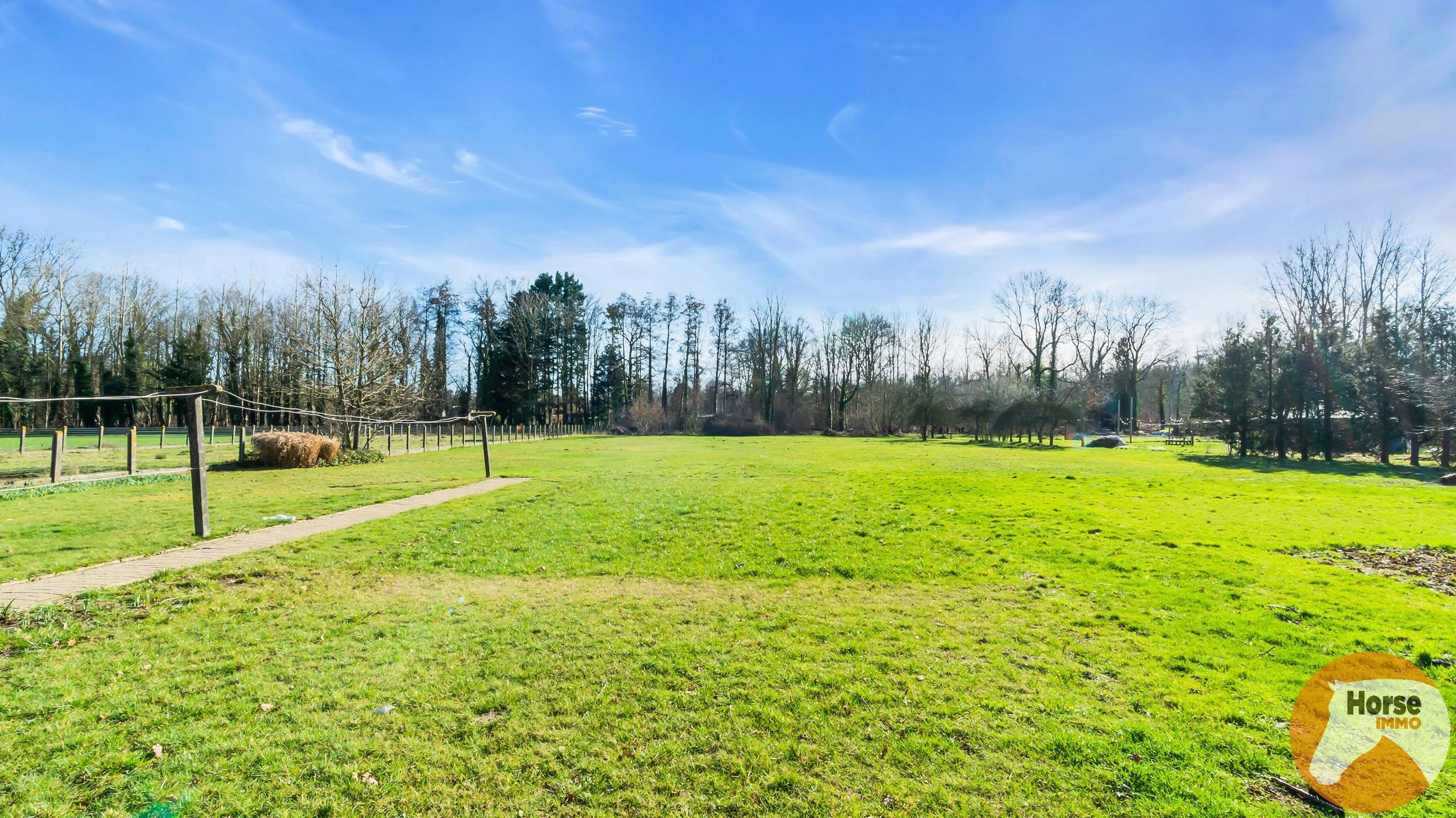 NIEUWRODE - Te renoveren woning op +/- 70a - foto 5