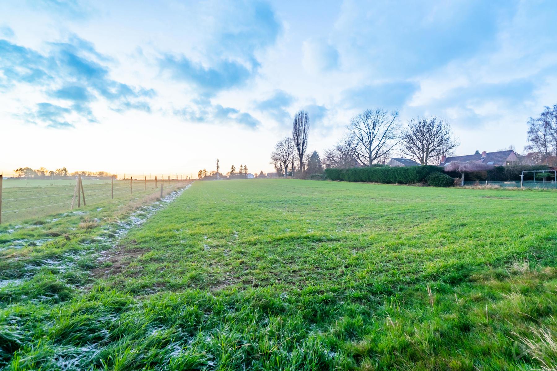 Land for sale in Lasne-Chapelle-Saint-Lambert - photo 5