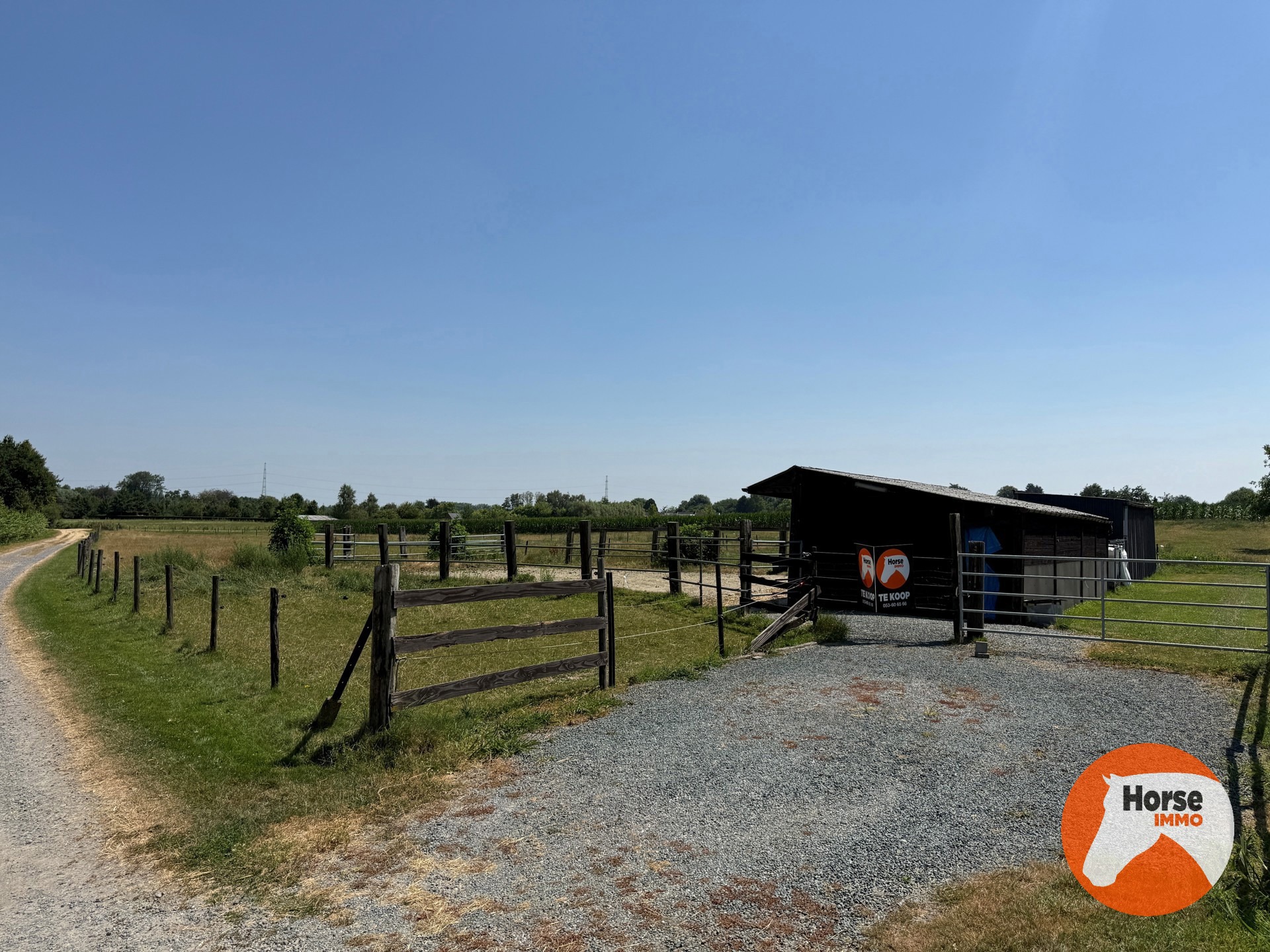 Land for sale in Asse - photo 5
