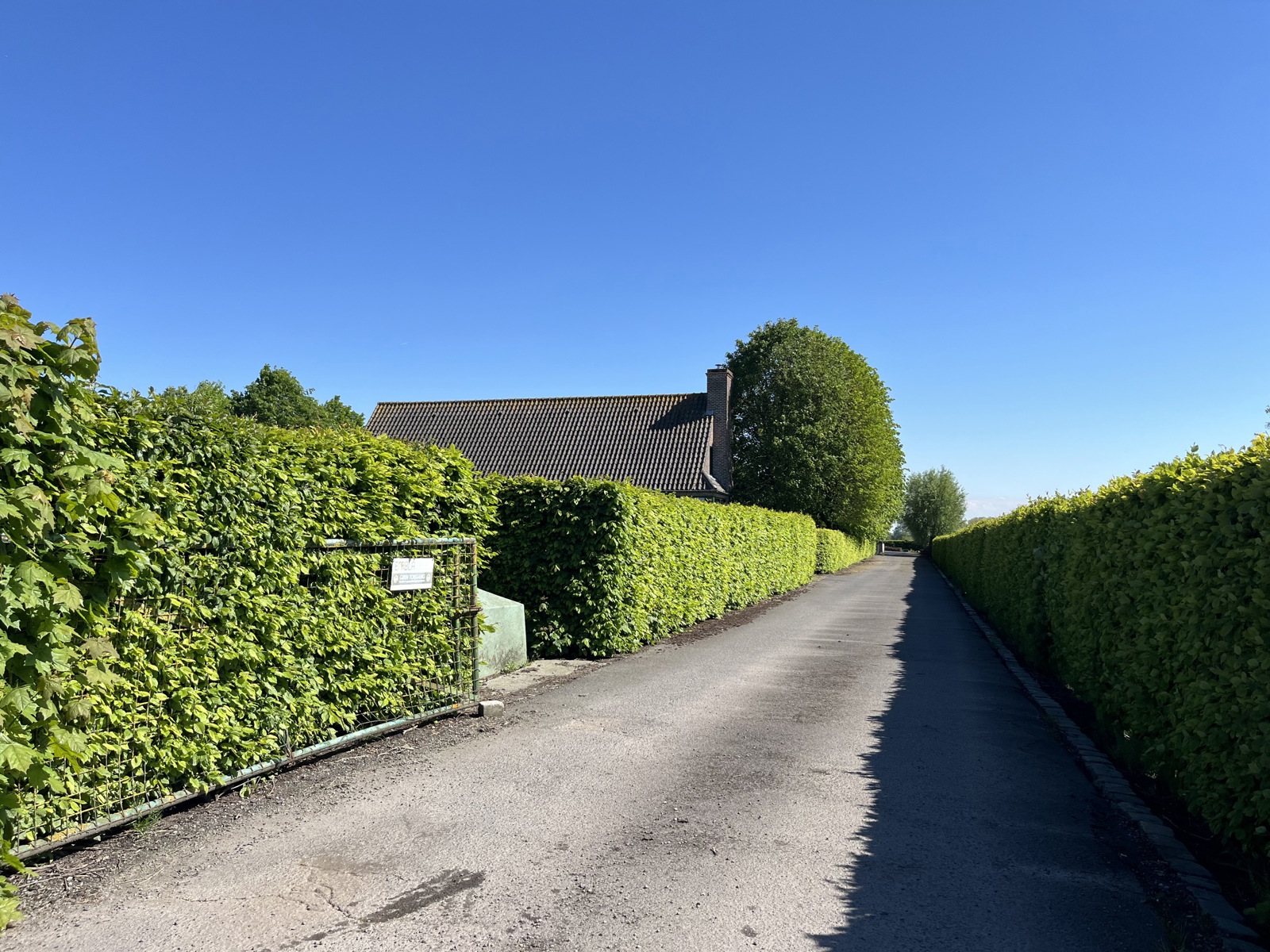 Woning met bijgebouw op 1Ha met functiewijziging - foto 4
