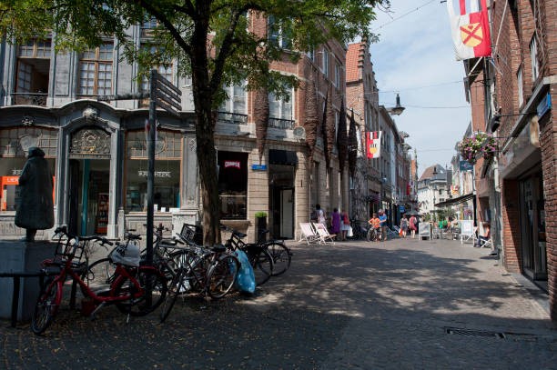 Prachtig opbrengsteigendom met 13 studentenkamers op centrale ligging - foto 2