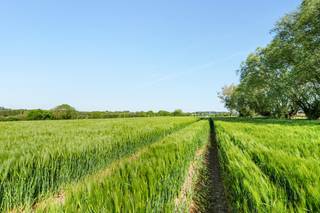 Bouwgrond van ± 6.100 m² in het hart van het Pays des Collines Gelegen in Moustier, in de gemeente Frasnes-lez-Anvaing, biedt deze zeldzame...