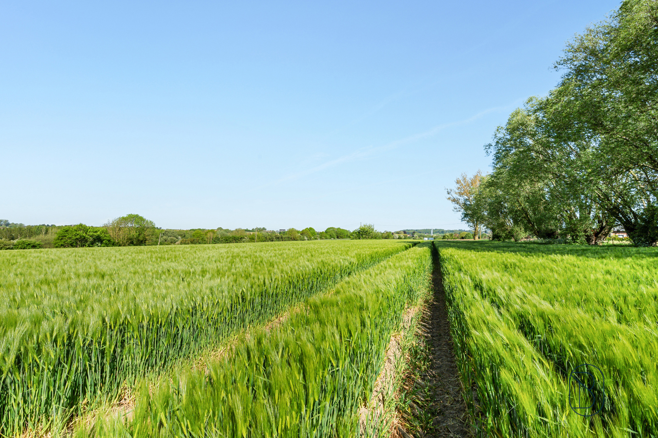 Bouwgrond ± 6.100 m² – opportuniteit met prachtig zicht! - foto 3