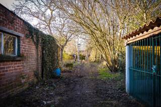Maison à vendre à Maldegem