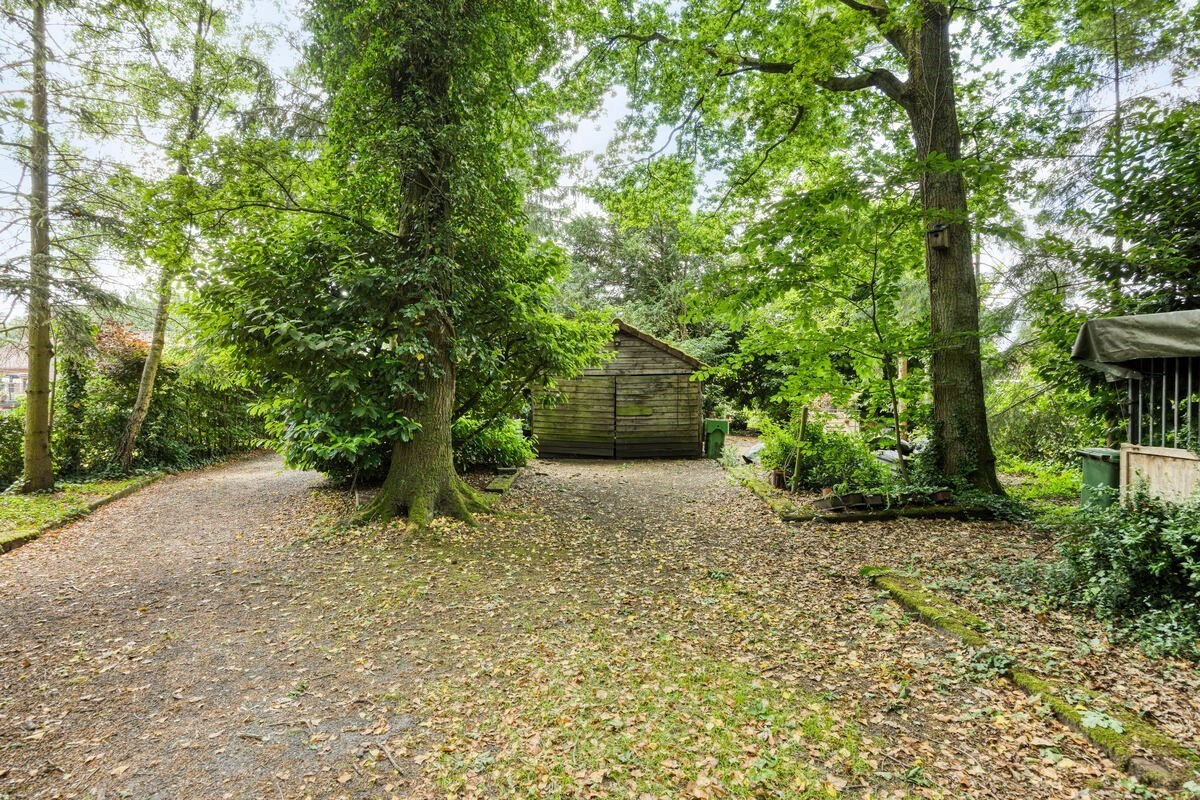 Ruime woning met 3 slaapkamers en grote tuin - foto 2