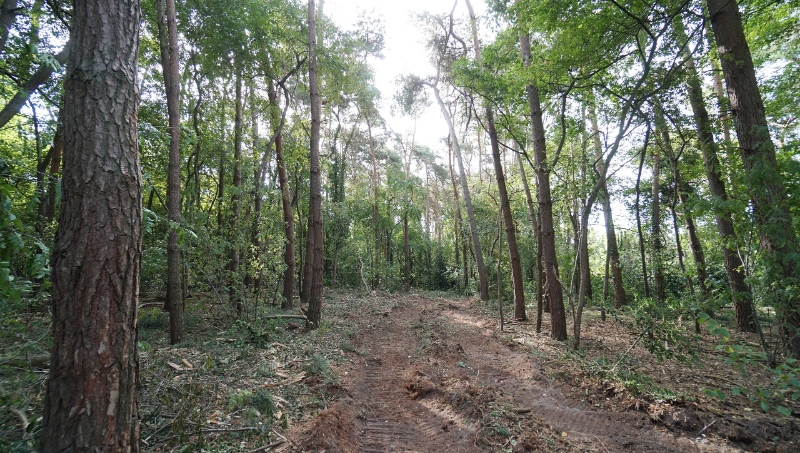 Residentieel gelegen bouwgrond van 31 are met 37 are bosgrond - photo 5