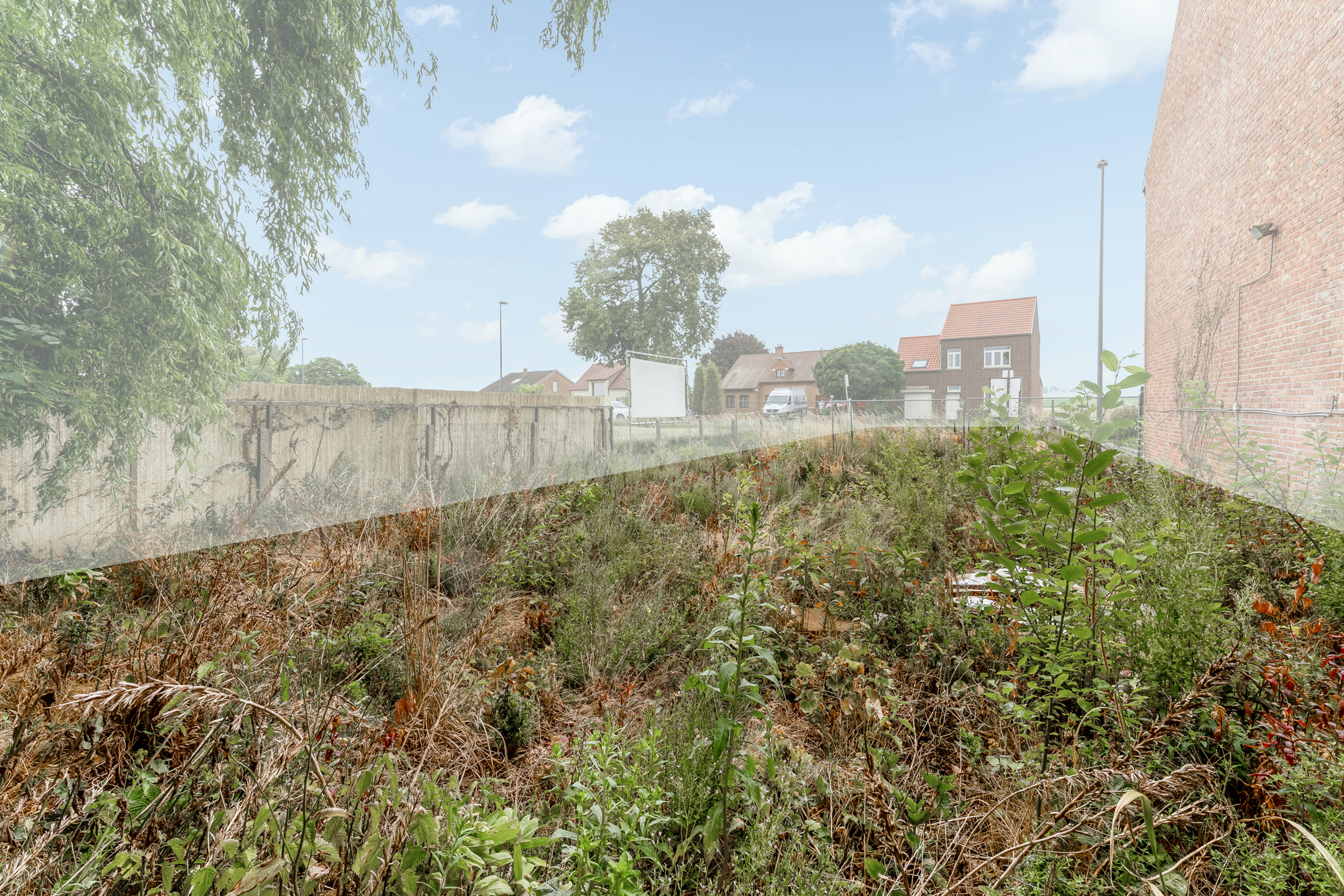 Land for sale in Riemst - photo 5