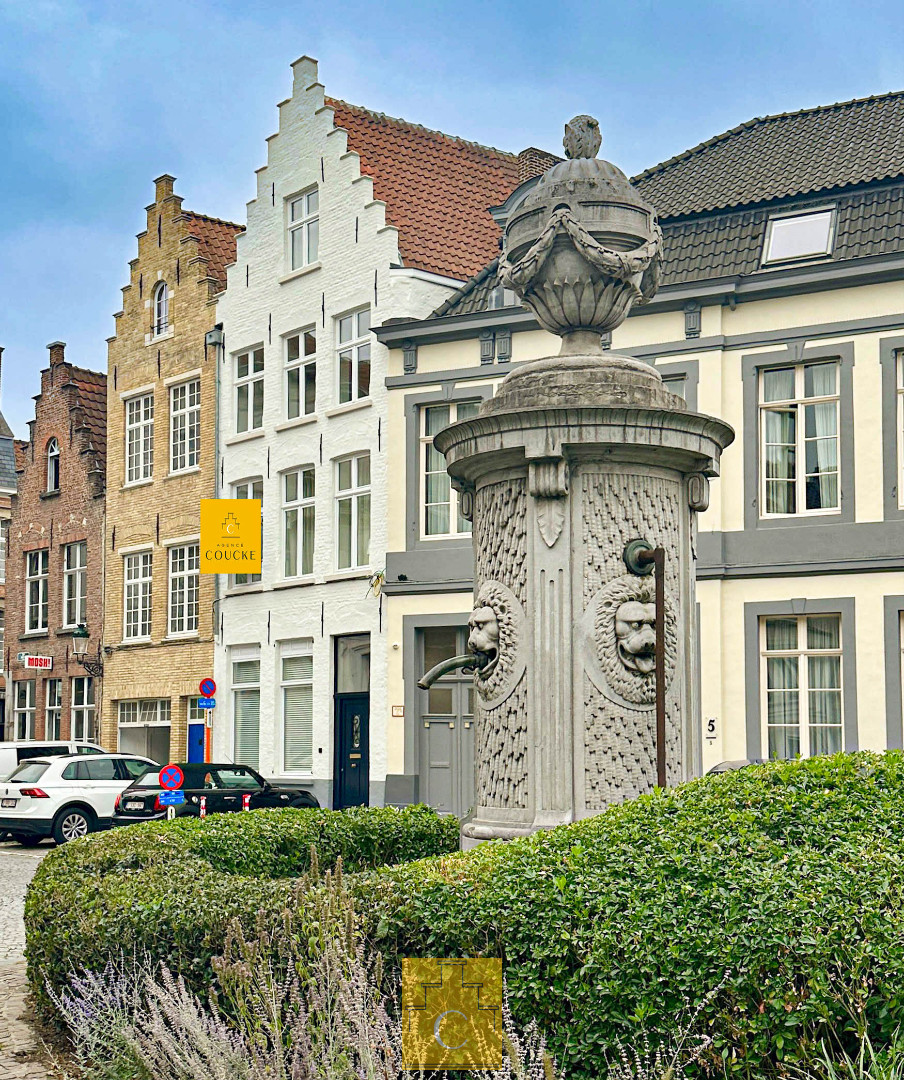 pas gerenoveerd diephuis op iconisch stadsplein, een meesterwerk van historiek en hedendaagse luxe - foto 1