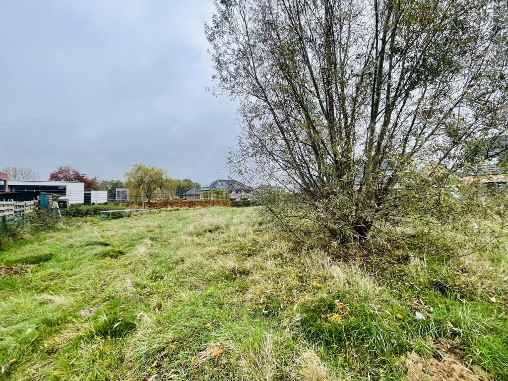 Waardamme NIEUW TE BOUWEN VILLA IN EEN MODERNE BOUWSTIJL Goedgekeurde bouwvergunning beschikbaar - foto 5