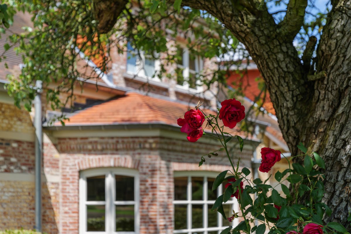 Sublime maison de campagne dans un magnifique domaine. - photo 1