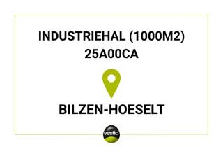 Industriehal van 1000m2 op een perceel van 25a te Bilzen-Hoeselt. Zeer centraal gelegen. <br /><br />Voor meer info neem contact op met michiel@vestio.com of 0478 30 04 25. <br /><br />