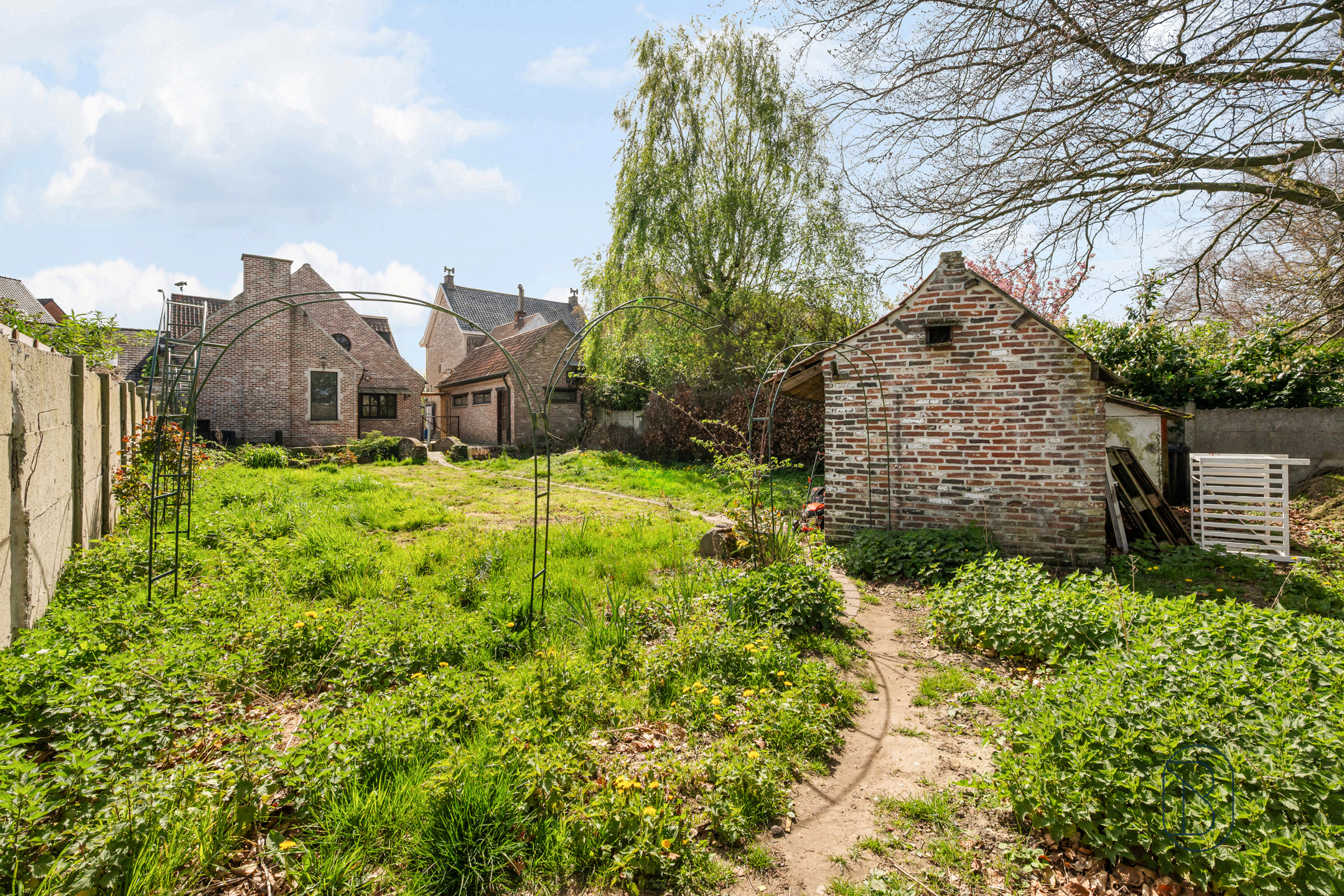 Woning met handelsruimte in centrum Berchem-Kluisbergen - foto 3