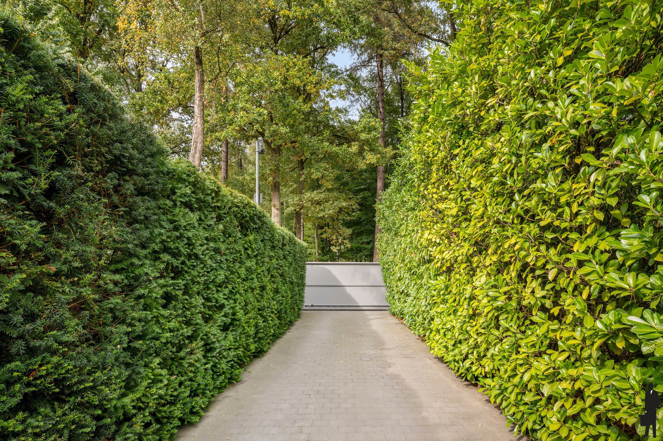 Maison à vendre à Schilde avec 3 chambres - photo 2
