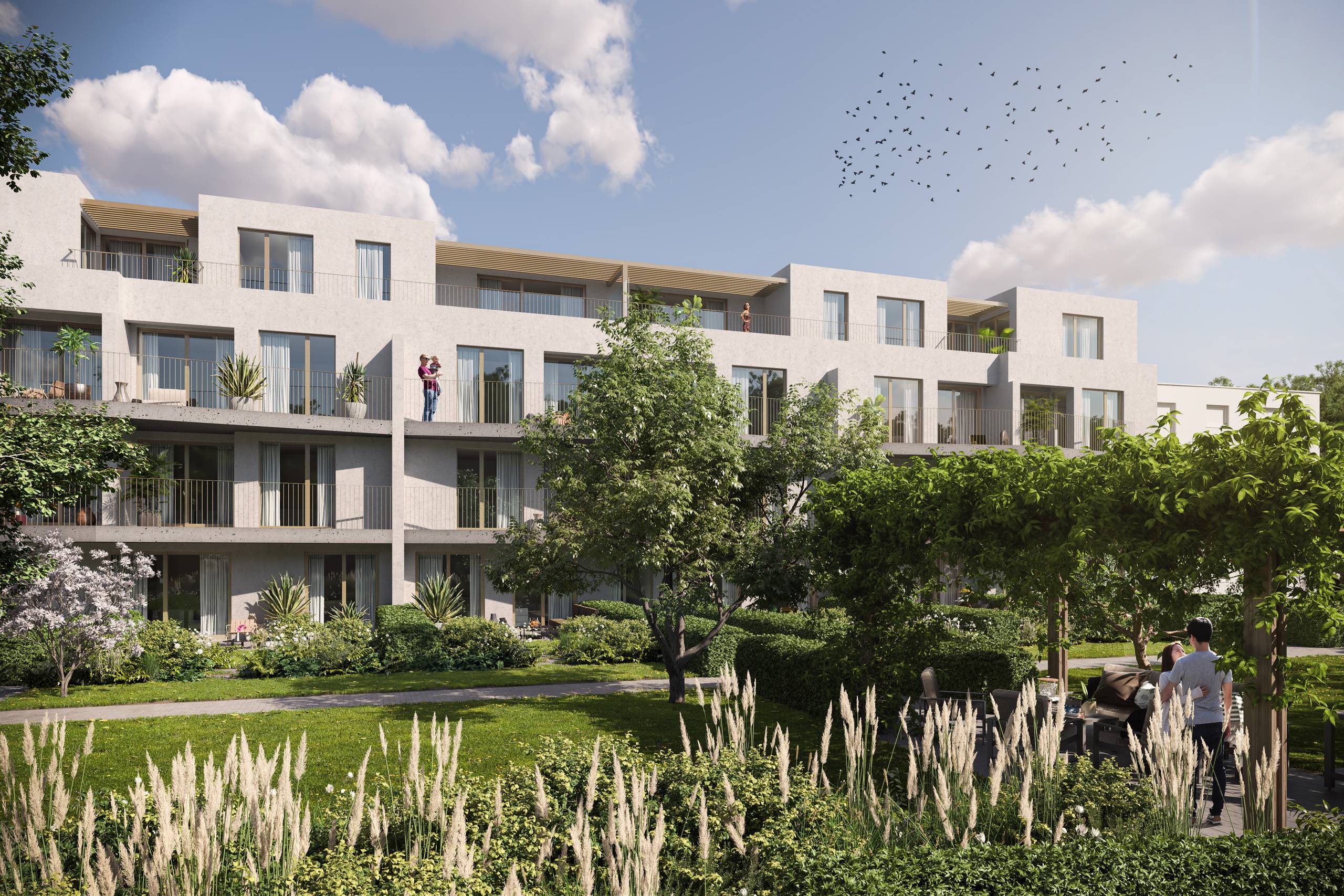 Nieuwbouw appartement te koop met zonovergoten terras - foto 3