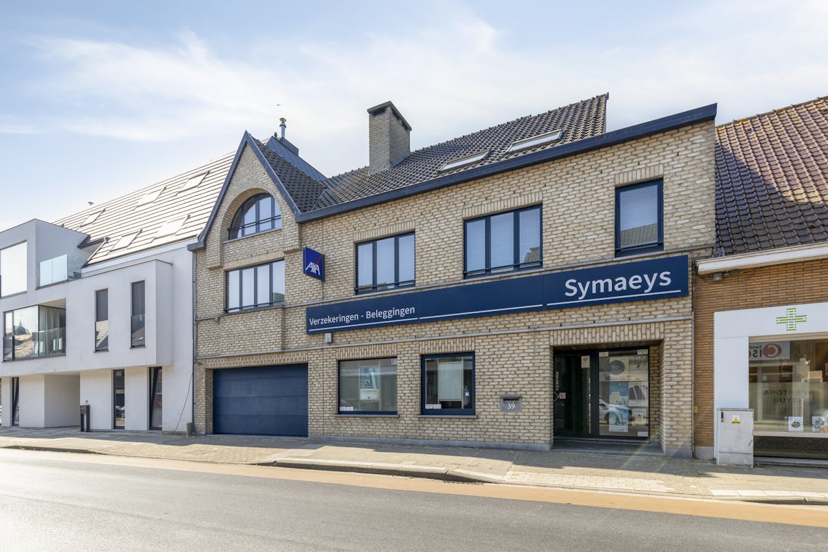 Handelspand (95 m²) met woonst (285 m²) te koop - foto 2