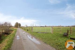 LOCHRISTI - Rustig gelegen stalgebouw op +- 2,3HAOp een bijzonder rustige locatie, langs een goed uitgeruste en vlot bereikbare weg, bevindt zich dit...