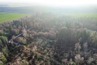 Investeren in een bosgrond? Meer en meer kopers overwegen dit om even de rust op te zoeken, hout te sprokkelen en te genieten van de natuur.Het...