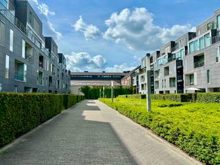 Ruim en lichtrijk 1-slaapkamerappartement van Residentie Het Volk, gelegen aan De Visserij.
Het gelijkvloers appartement heeft een uitzonderlijk groot terras van 32 m² dat uitgeeft op het Lousbergpark. Naast het ruime terras, beschikt het appartement over een aangename leefruimte met ingerichte keuken, één ruime slaapkamer, een badkamer met toilet en aparte berging.
Bij het appartement horen eveneens een privatieve kelderberging en een afzonderlijke garagebox (verplicht mee aan te kopen).
De combinatie van een centrale ligging (oprit E17, E40) en het ruime terras met groen uitzicht maakt dit appartement bijzonder interessant voor wie rustig wil wonen met de stad vlakbij (5 minuten wandelen van centrum Gent).
Momenteel is het appartement verhuurd en dus ook geschikt als opbrengsteigendom.
Appartement met terras en kelder: €300.000 + ondergrondse garagebox: €25.000
Bezoeken uitsluitend op afspraak. Een bezoek kan worden ingepland via het contactformulier of via mail naar barteldebrabandere@gmail.com met vermelding van naam, telefoonnummer en voorkeur tijdstip.