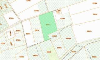 Perceel bosgrond van 1ha 35a 50ca gelegen aan de Grote Hoefstraat te Linde-Peer.