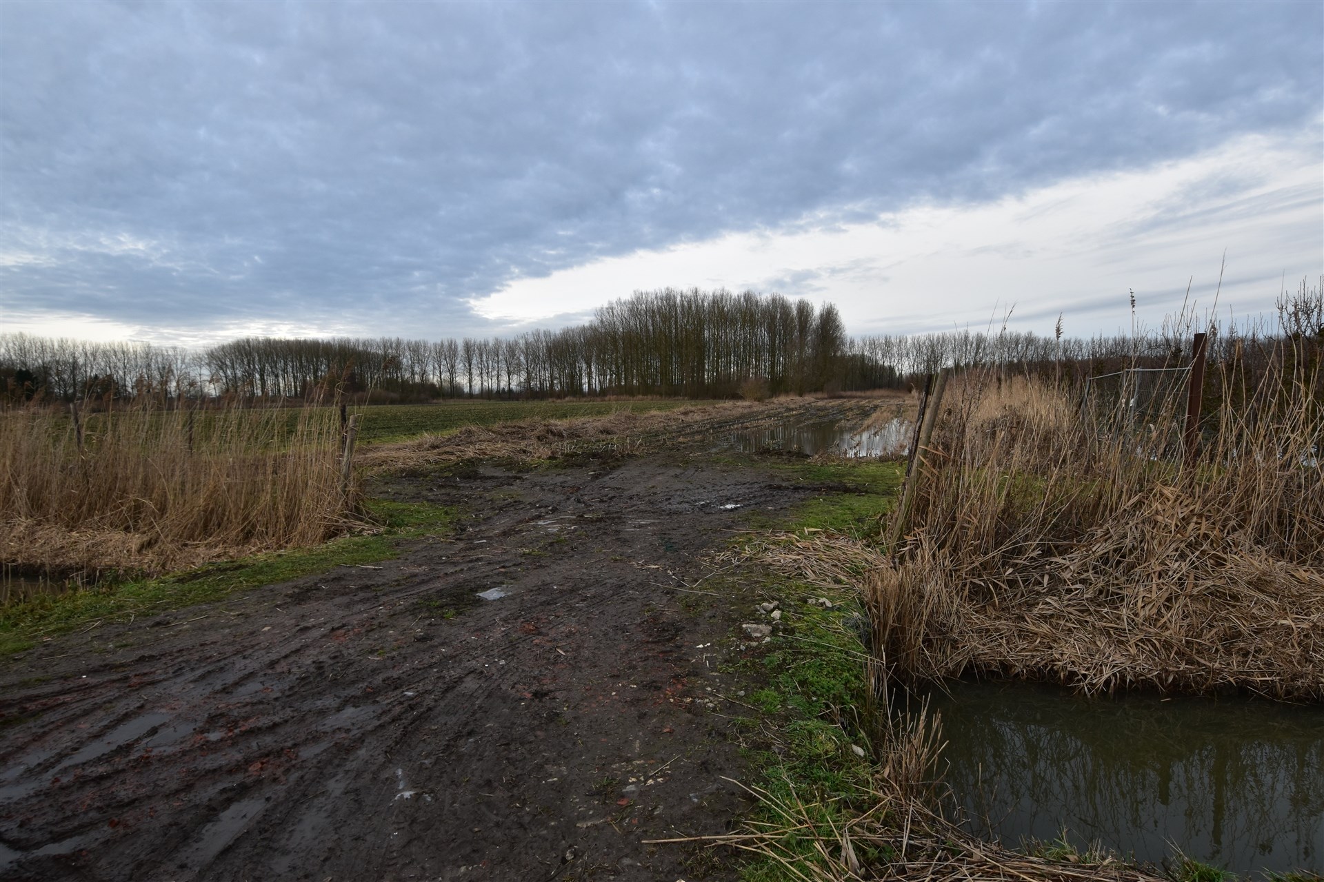 Land for sale in Moerzeke - photo 1