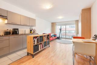 Dit appartement is gelegen in de residentie "Chateau Tropezina", een moderne en goed onderhouden residentie in Oostende. Gebouwd in 2009,...