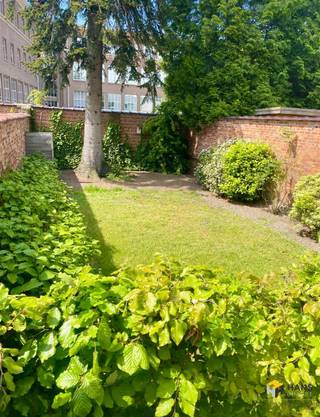 Grâce à sa situation centrale, la propriété bénéficie d'un excellent mobiscore. Les transports publics sont facilement accessibles et l'A12 ainsi...