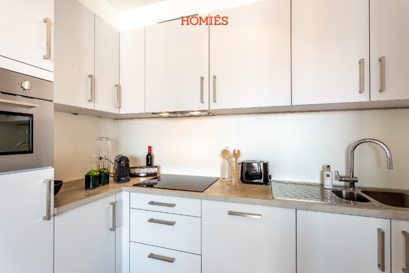 Fully furnished 1-bedroom apartment with terrace - photo 4