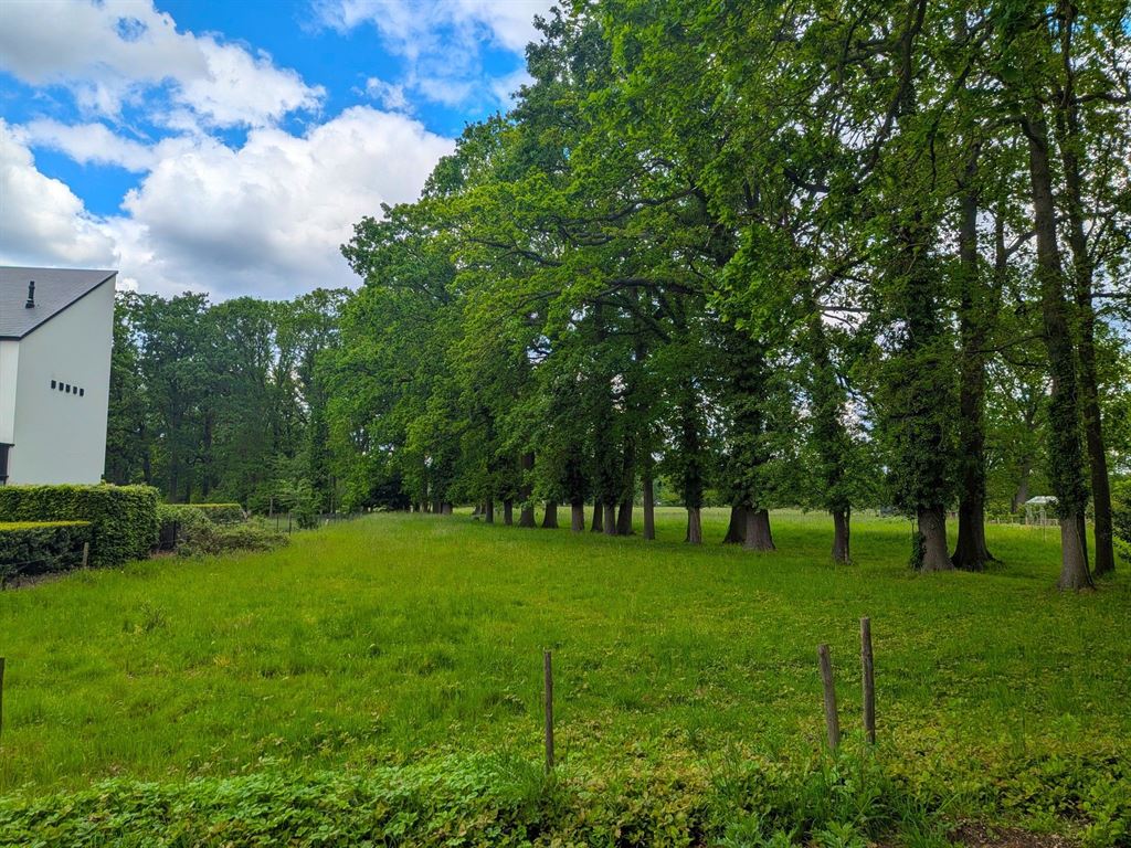 Land for sale in Wijnegem - photo 5