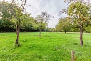 Stap binnen in een stukje landelijke charme, waar rust, natuur en ruimte centraal staan.Deze woning, gelegen op een prachtig perceel van ruim 1...