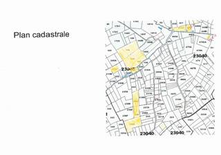 Landbouwgronden en weides te koop in Kester (Pajottegem)In zijn geheel te koop of in delen.Weides zijn te koop vanaf 45.000 EUR/haGronden zijn te...