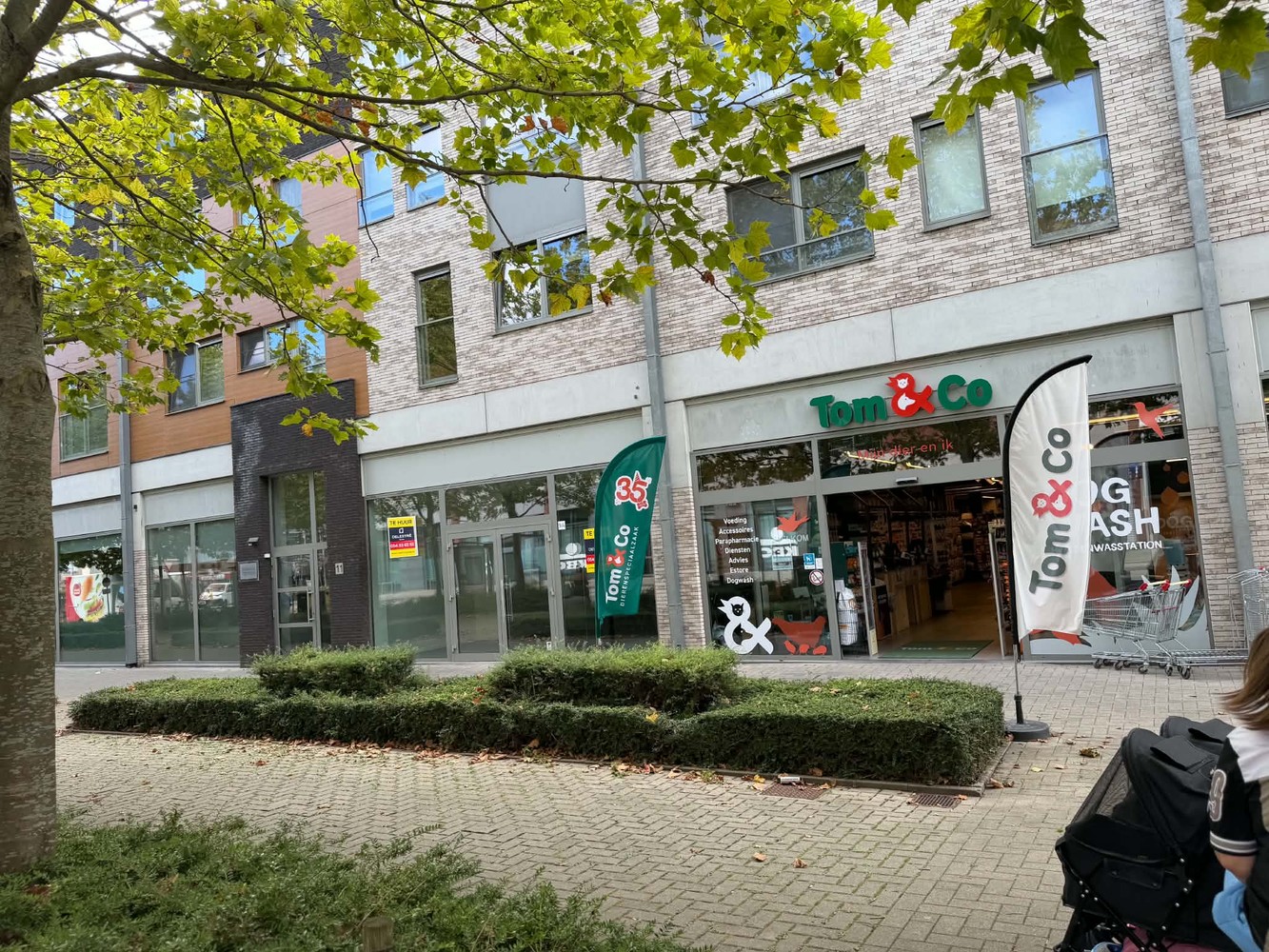 Commercial for rent in Ninove
