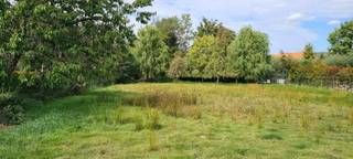 Terrain à vendre à Hoegaarden