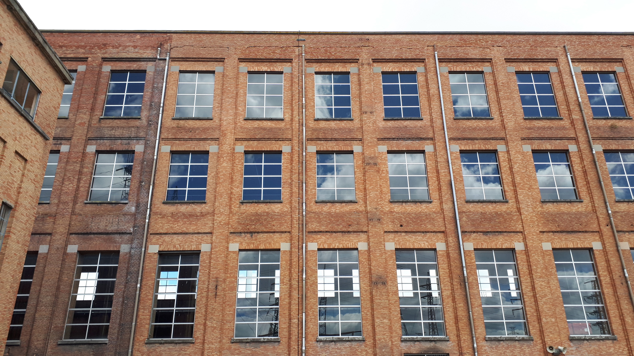 Commercieel te huur in Schelle - foto 3