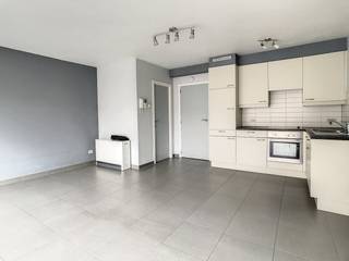 Dit appartement te huur is gelegen aan de Torhoutsesteenweg op een kilometer van het centrum van Oostende. Indeling: - Inkomhal - Ruime...