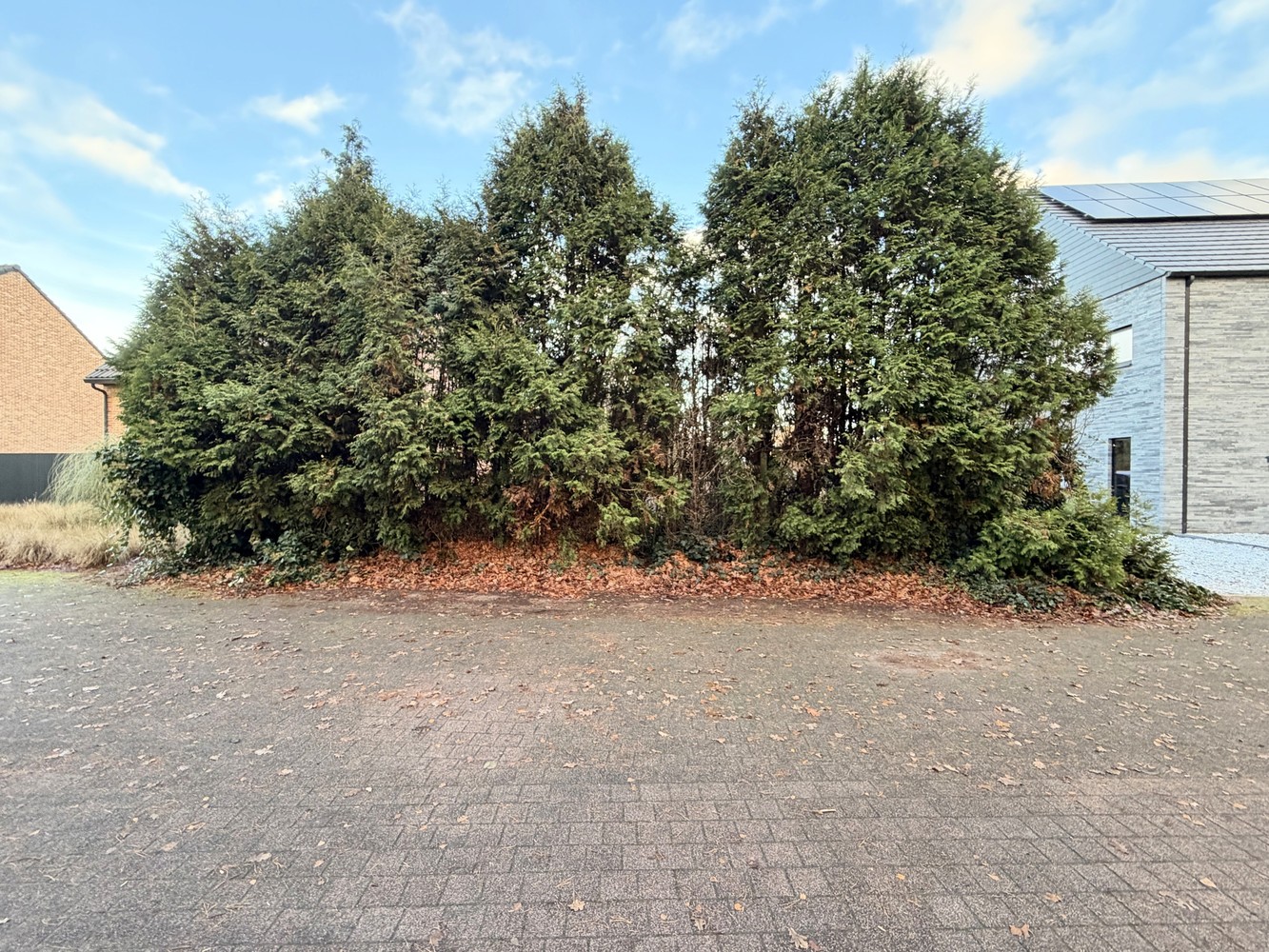 Bouwgrond voor halfopen bebouwing op centrale en groene locatie tussen Genk en Diepenbeek. - foto 5