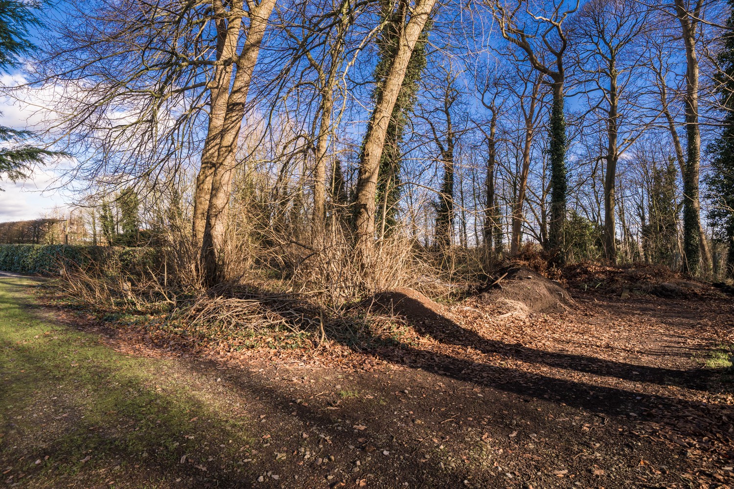 Exclusieve bouwgrond aan de Lembeekse Bossen! - foto 3