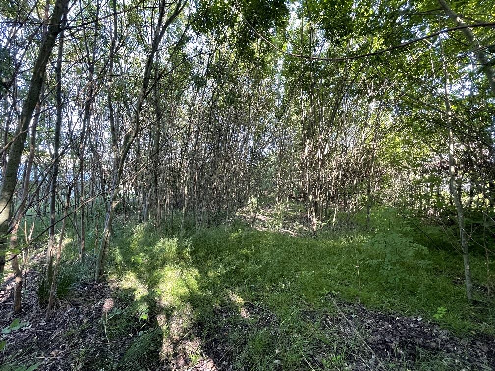 Terrain à vendre à Koningshooikt - photo 3