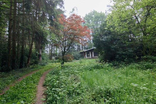 Libellestraat 15, 3271 Scherpenheuvel-Zichem - foto 5