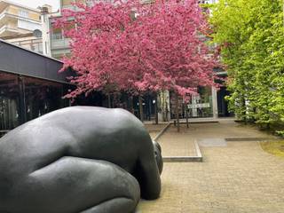 <p>Te huur: lichtrijke en volledig uitgeruste kantoorruimte van 220 m² op de 1e verdieping van een karaktervol gebouw aan het prestigieuze Place Stéphanie in Brussel. Inclusief een privéterras van 30 m², ideaal voor pauzes of kleine bedrijfsactiviteiten.</p>
<p>Voormalig onderkomen van de Beurs van Brussel en de SOROS Stichting – een inspirerende werkplek met ruimte voor tot 20 personen. Indeling:</p>
<ul>
<li>
<p>Grote vergaderruimte / open space (moduleerbaar)</p>
</li>
<li>
<p>3 aparte bureaus</p>
</li>
<li>
<p>1 kleine belruimte / meditatieruimte</p>
</li>
<li>
<p>Groot buitenterras</p>
</li>
<li>
<p>Kitchenette met koelkast en vaatwasser</p>
</li>
<li>
<p>Aparte toiletten voor dames en heren met lavabo</p>
</li>
</ul>
<p>Voorzien van modern comfort:</p>
<ul>
<li>
<p>Eiken parketvloer</p>
</li>
<li>
<p>Ramen met draai-/kiepsysteem</p>
</li>
<li>
<p>Individuele gasverwarming (eigen ketel)</p>
</li>
<li>
<p>Individueel HVAC-systeem</p>
</li>
<li>
<p>Afzonderlijke meters voor gas, elektriciteit en water</p>
</li>
<li>
<p>Design plafondverlichting</p>
</li>
<li>
<p>Lift aanwezig</p>
</li>
</ul>
<p><strong>Privéparkeerplaats toegankelijk</strong> via Kapitein Crespelstraat 53.</p>
<p><strong>Prijs parkeerplaats: €150/maand</strong></p>
<p><strong>Huurvoorwaarden:</strong><br />Bankwaarborg of andere garantie van 6 maanden.</p>
<p>Een unieke ruimte met historische charme, hedendaags comfort en een toplocatie in het hart van Brussel. Onmiddellijk beschikbaar.</p>