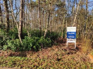 <p>Mooi perceel bouwgrond met een oppervlakte van 1157m² voor het oprichten van een OPEN bebouwing in een groene omgeving.</p>
<p>Centraal gelegen tussen Brecht en St. Job in ’t Goor. <br />De bushalte op 150m, winkels en scholen op 4km, oprit autosnelweg op 4,5km. <br />Sportcentrum DE MEREL op wandelafstand.</p>
<p>* perceel gelegen in een goedgekeurde verkaveling<br />* <strong>woonparkgebied</strong><br />* vrije inplanting binnen de hiervoor aangeduide bouwzone<br />* maximaal 250m² bebouwing<br />* apart bijgebouw mogelijk<br />* <strong>GEEN BOUWVERPLICHTING</strong></p>
<p>Bel of mail ons voor alle verdere info. -- lieven@coga.be --<br /><br />Ben je op zoek naar een groter perceel? <br />Neem contact met ons op voor eventuele alternatieven.</p>